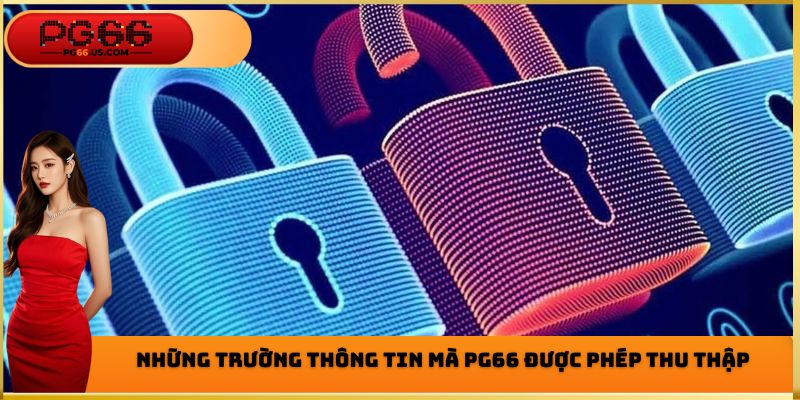 Những trường thông tin mà PG66 được phép thu thập